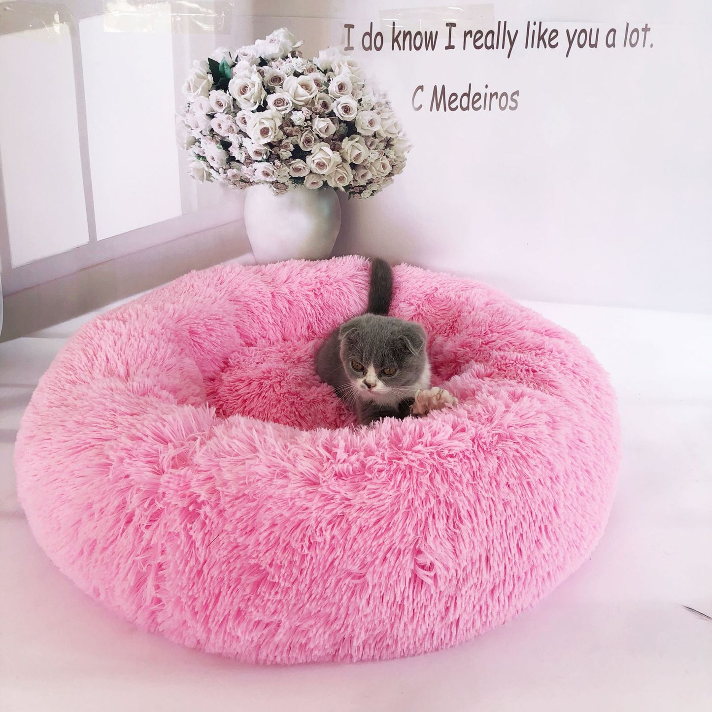 Plush Pet Bed